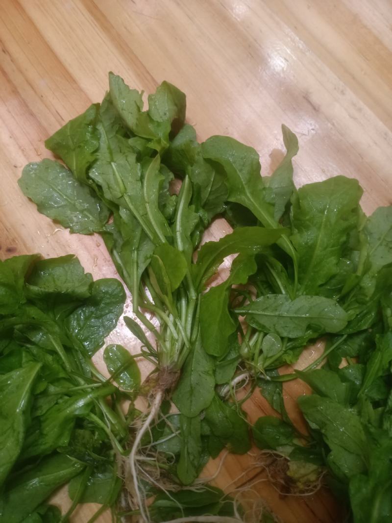 荠菜，精品荠荠菜。即将上市。