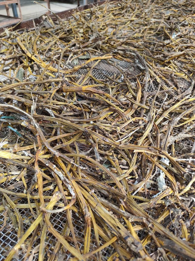 球花石斛，黑毛石斛，干货批发零售
