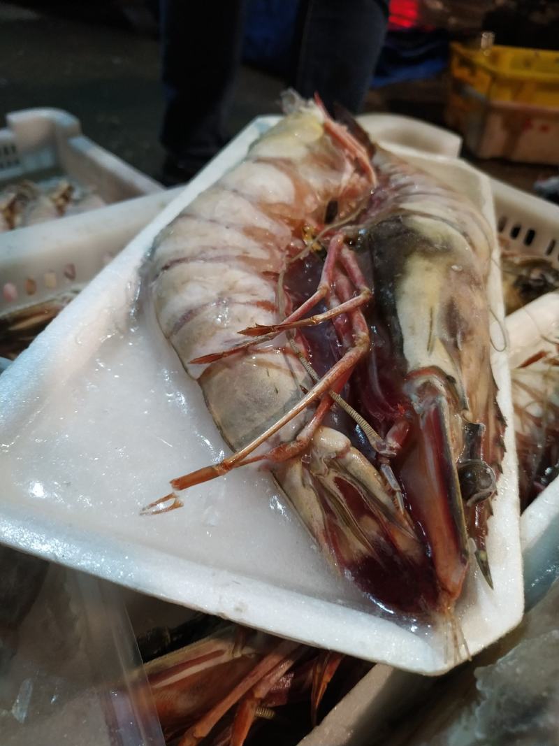 东方虾超大海虾鲜活特大对虾老虎虾海捕水产黑虎虾送礼佳品
