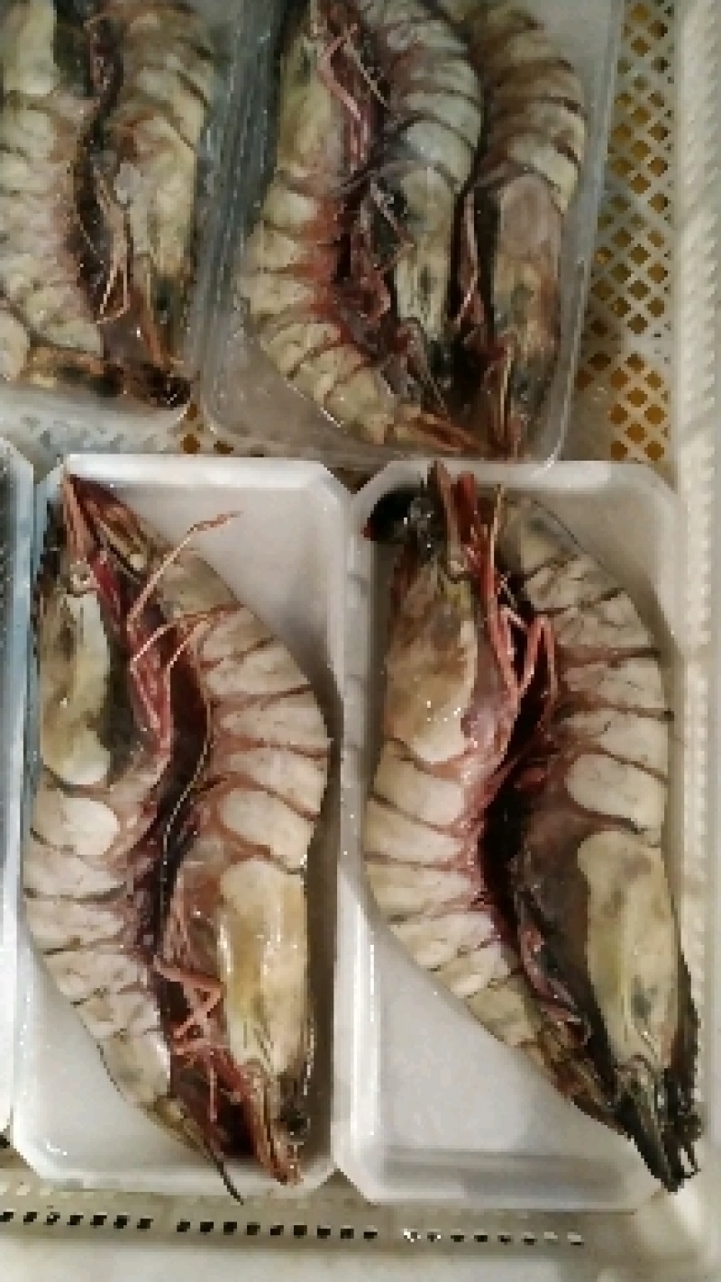 东方虾超大海虾鲜活特大对虾老虎虾海捕水产黑虎虾送礼佳品