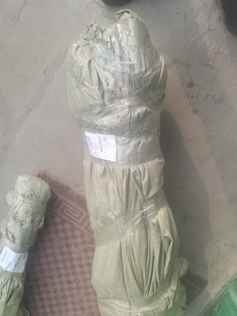 早熟黄桃苗个大脆甜基地发货现挖现发保湿邮寄包邮