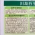 川岛白玉青梗松花菜种子春秋花菜品种颜色白高产花菜种子