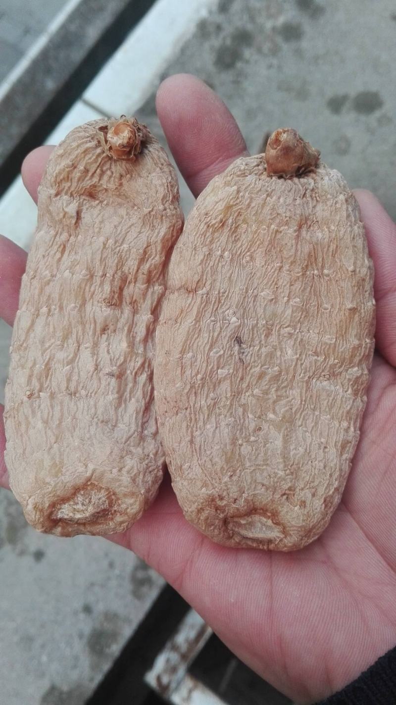 贵州贵定天麻片