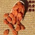 【无核杏干】山西酸甜杏干杏脯杏肉金太阳果干果脯零食包邮
