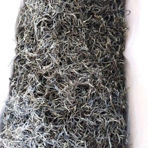 【包邮代发】普洱茶，高海拔古树茶，干净甘醇山间古树混采
