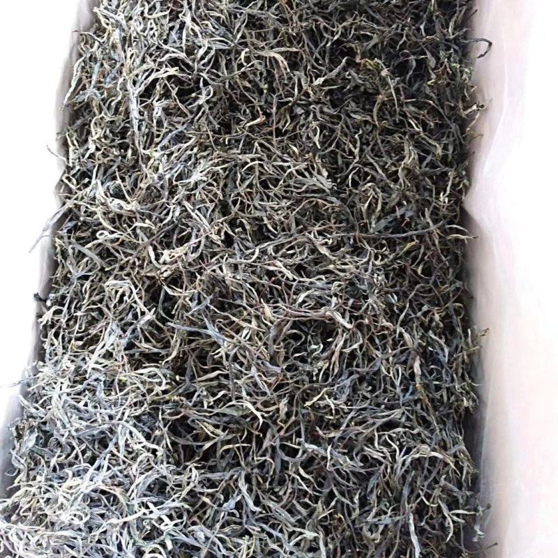 【包邮代发】普洱茶，高海拔古树茶，干净甘醇山间古树混采