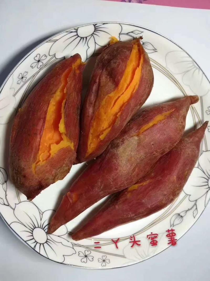 精品长条西瓜红