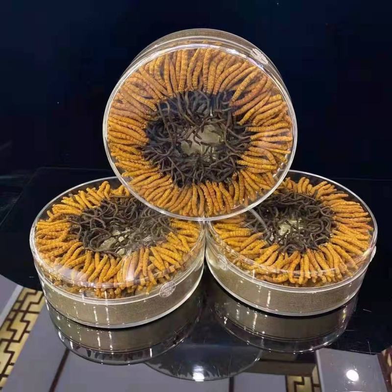 【好货】冬虫夏草，品质保证，一手货源，全国发货