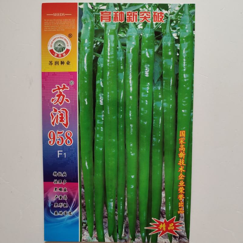 苏润958线椒种子早熟中辣特长顺直高产抗病春秋播种辣椒种