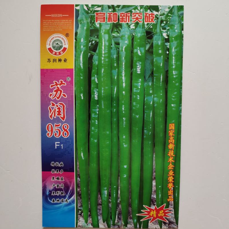 苏润958线椒种子早熟中辣特长顺直高产抗病春秋播种辣椒种