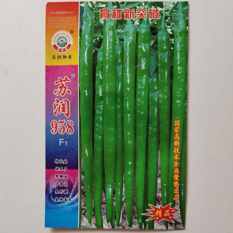 苏润958线椒种子早熟中辣特长顺直高产抗病春秋播种辣椒种