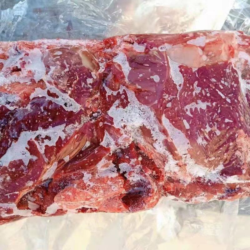 【黄牛肉】锡盟发货支持线上交易现货支持一件样品发货