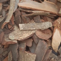 钻地风地枫皮中药材批发地枫皮产地直销量大从优
