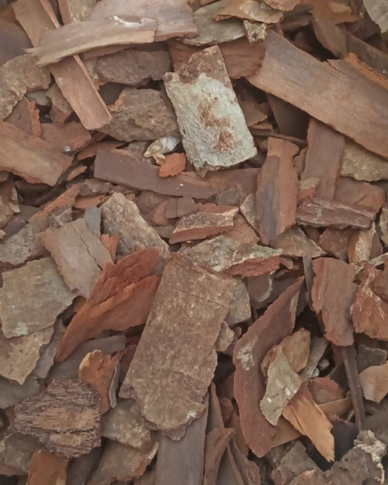 钻地风地枫皮中药材批发地枫皮产地直销量大从优