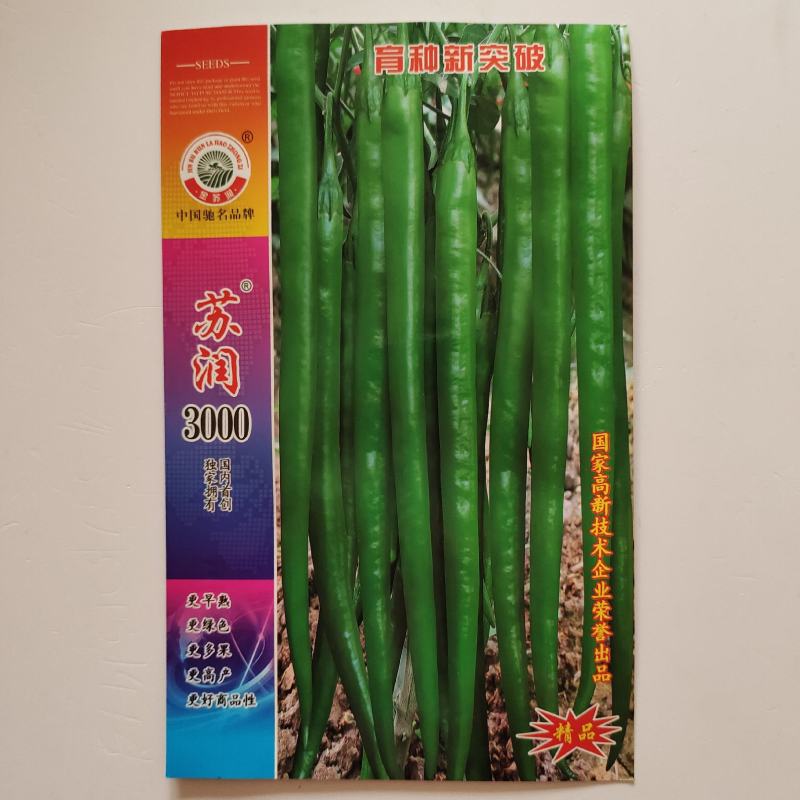 长线椒种子苏润3000辣椒种子早熟高产抗病长线椒种子