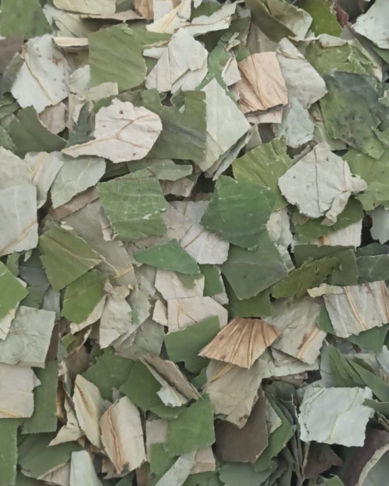 荷叶荷叶块可泡茶中药材批发荷叶质量保证量大从优