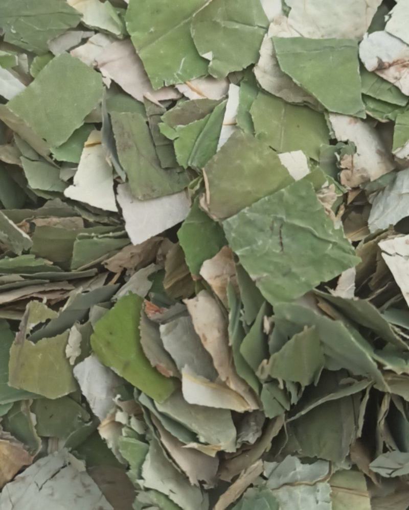 荷叶荷叶块可泡茶中药材批发荷叶质量保证量大从优