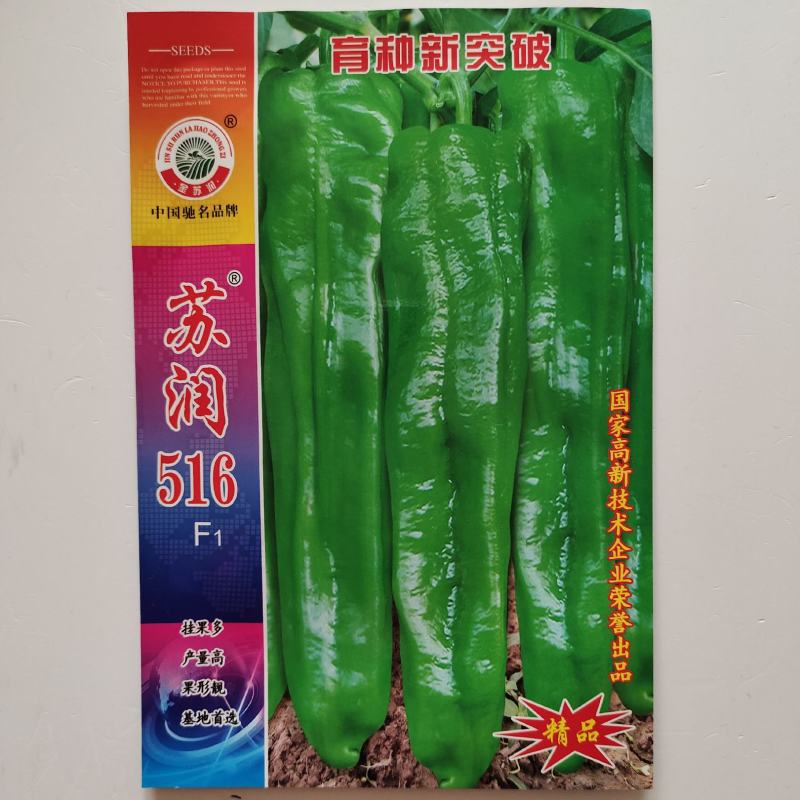 苏润516特大果粗长牛角椒辣椒种子早熟微辣薄皮辣椒种子