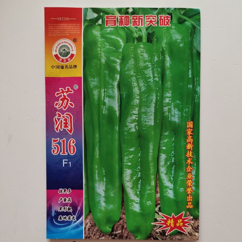 苏润516特大果粗长牛角椒辣椒种子早熟微辣薄皮辣椒种子