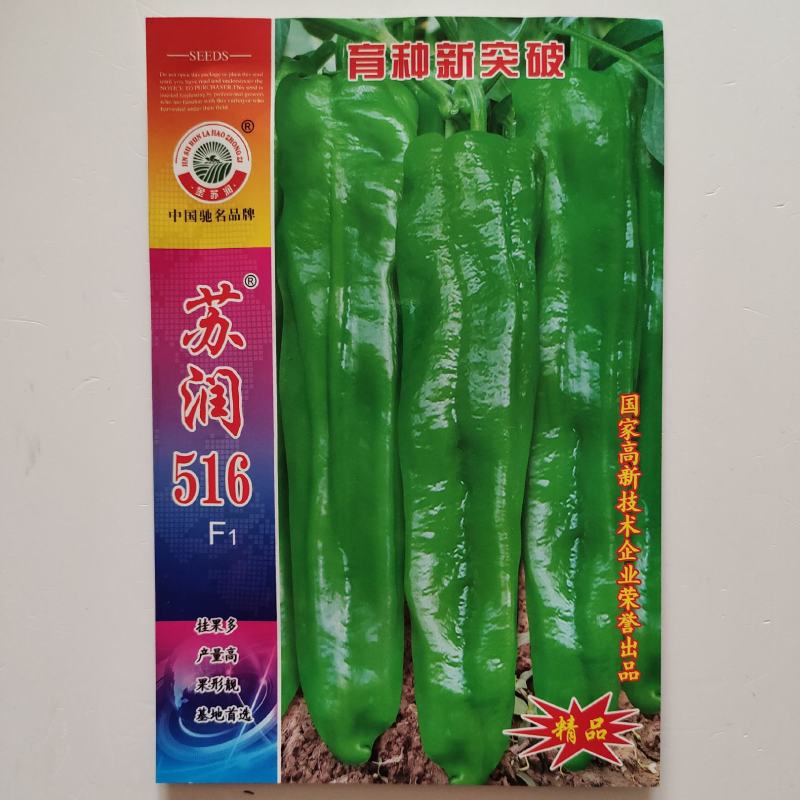 苏润516特大果粗长牛角椒辣椒种子早熟微辣薄皮辣椒种子