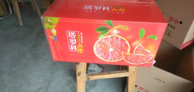 资中血橙产地直供