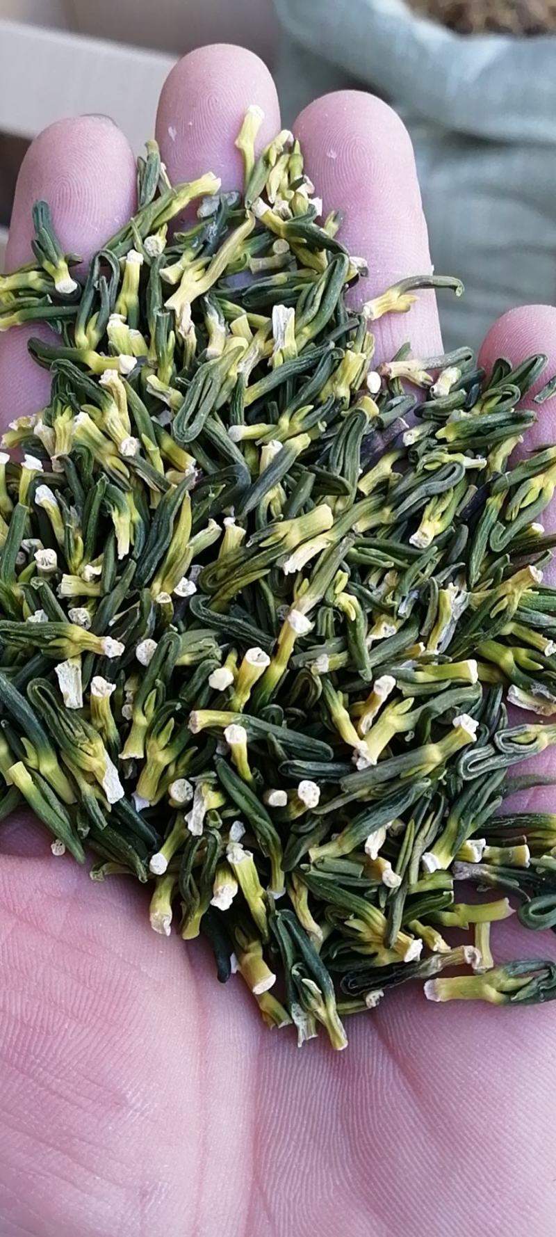 【包邮】莲子芯莲子心茶莲籽心多种规格欢迎选购