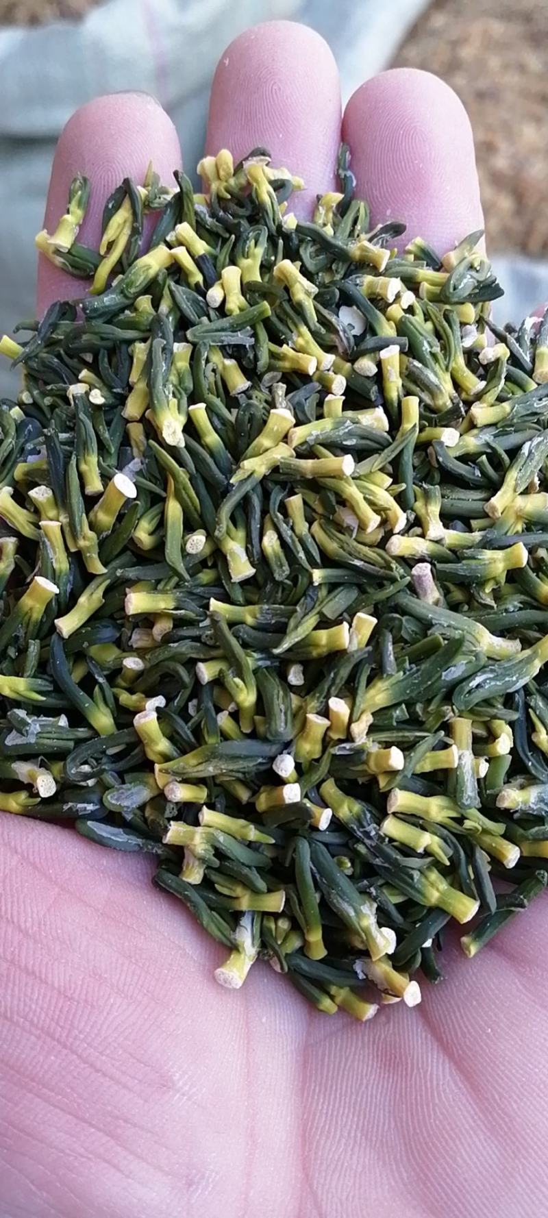 【包邮】莲子芯莲子心茶莲籽心多种规格欢迎选购