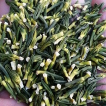 【包邮】莲子芯莲子心茶莲籽心多种规格欢迎选购