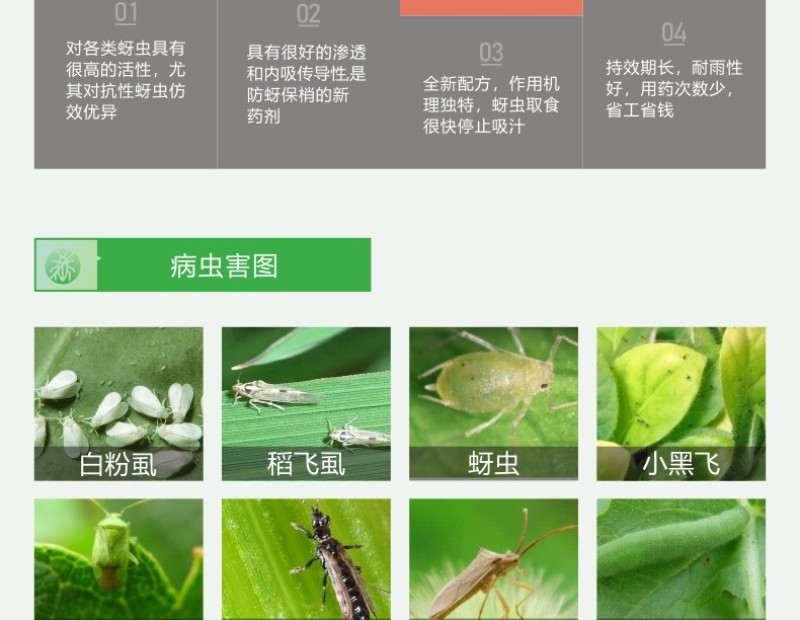 啶虫脒抗性蚜虫专用药粘虫农药杀虫剂批发果树蔬菜花卉杀虫药