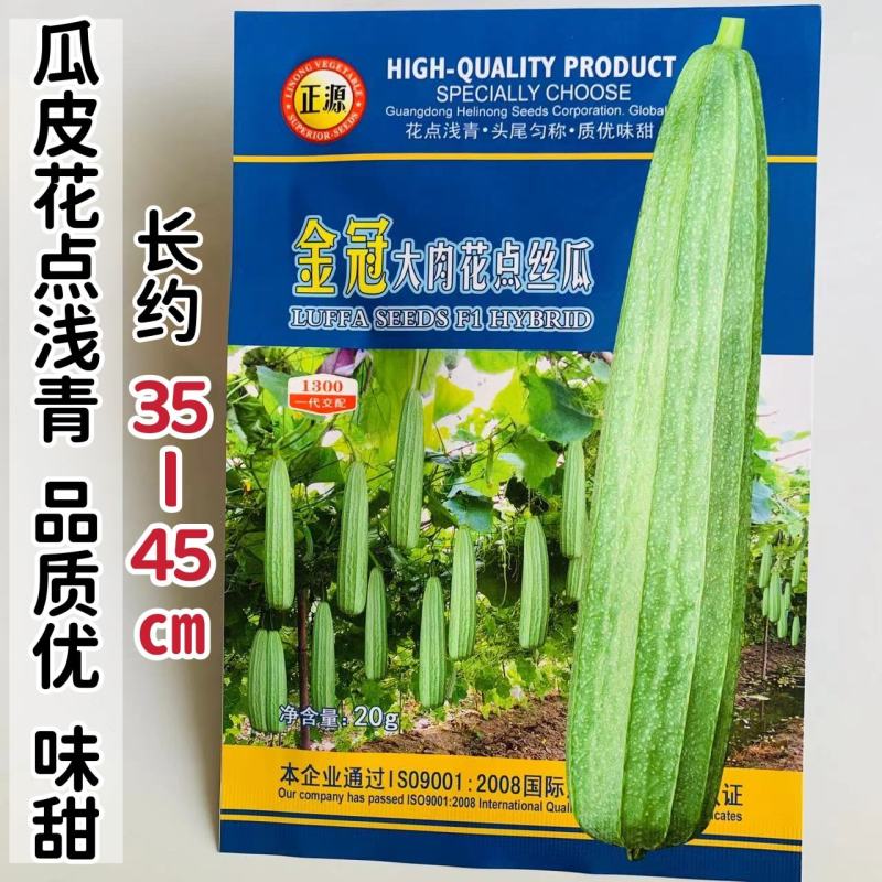 大肉花点丝瓜种子杂交肉丝瓜棱角丝瓜种子味甜头尾匀称