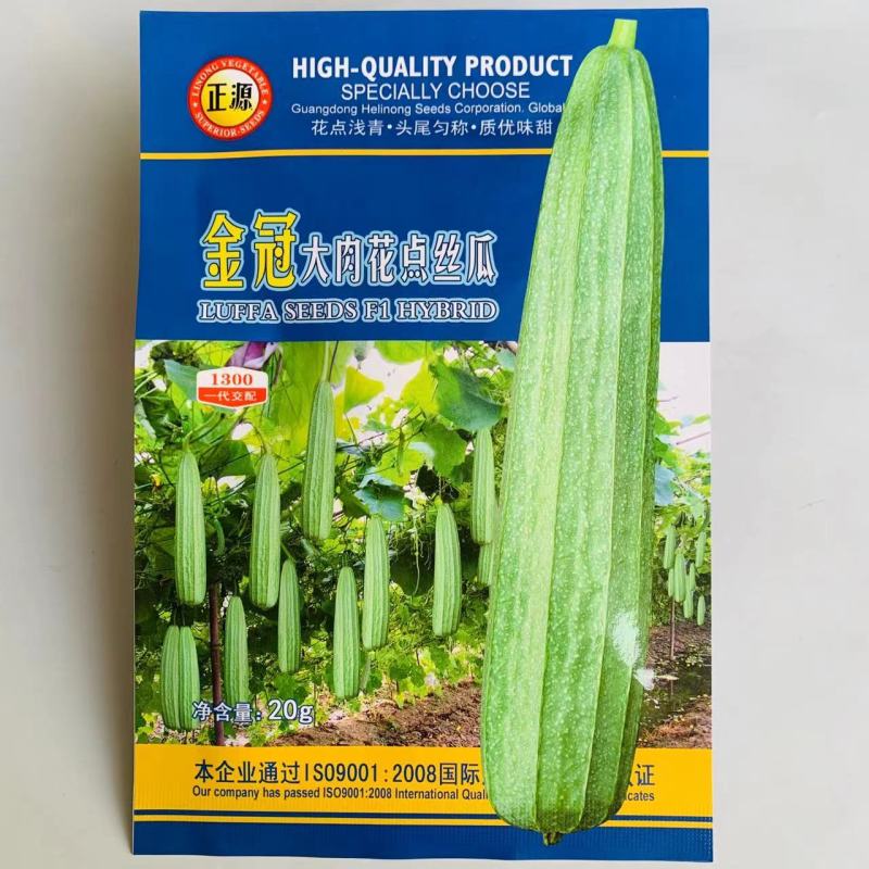 大肉花点丝瓜种子杂交肉丝瓜棱角丝瓜种子味甜头尾匀称