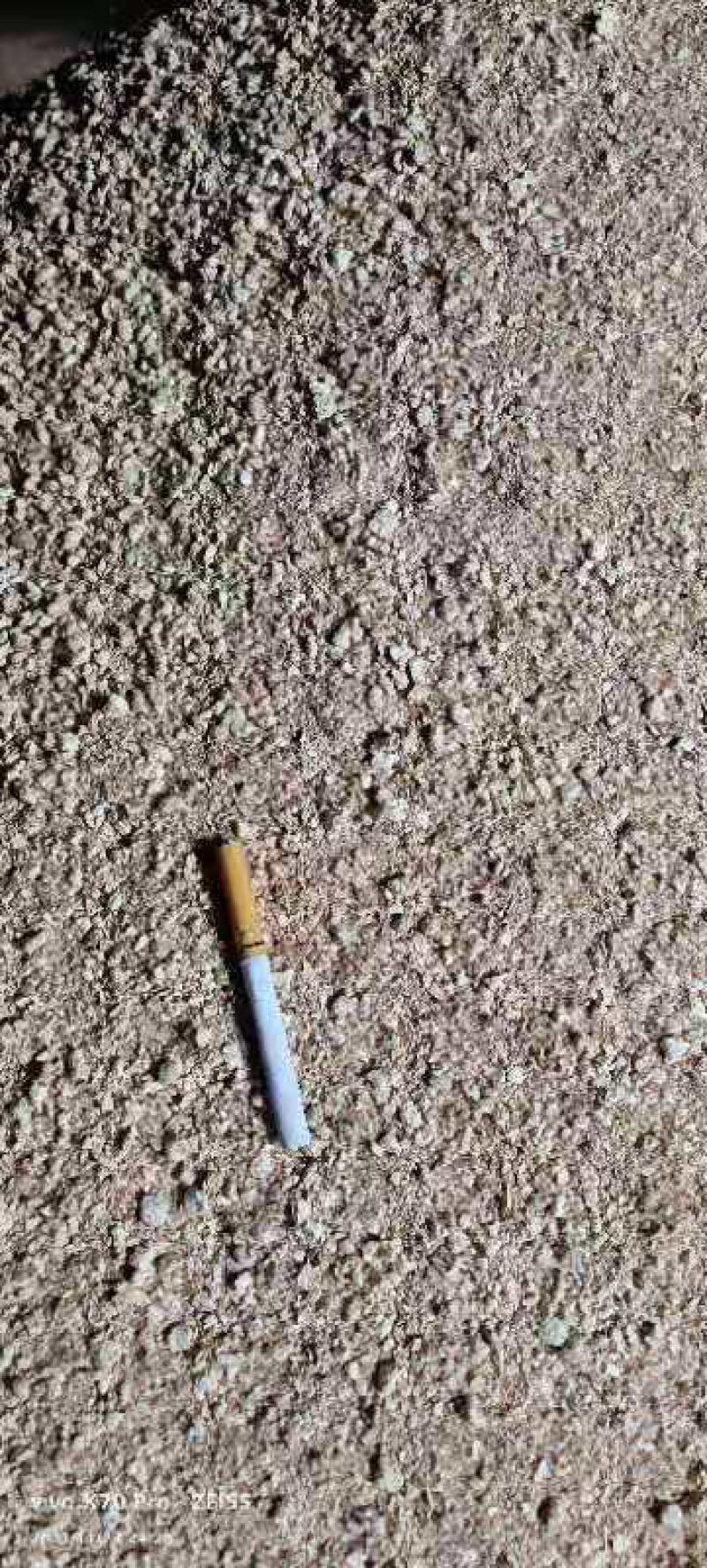玉米芯大量出售质量保证价格美丽