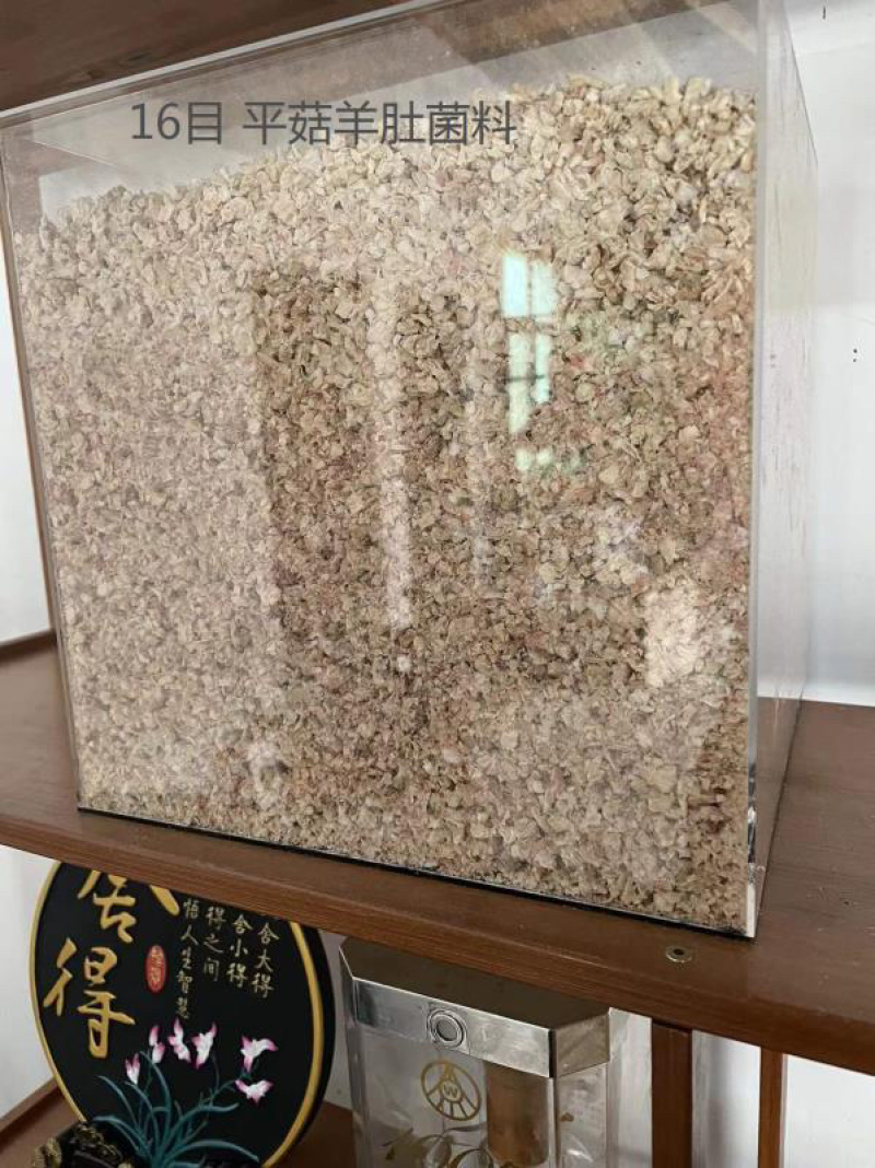 玉米芯大量出售质量保证价格美丽