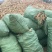 玉米芯大量出售质量保证价格美丽