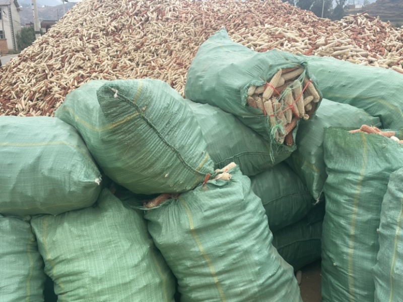 玉米芯大量出售质量保证价格美丽