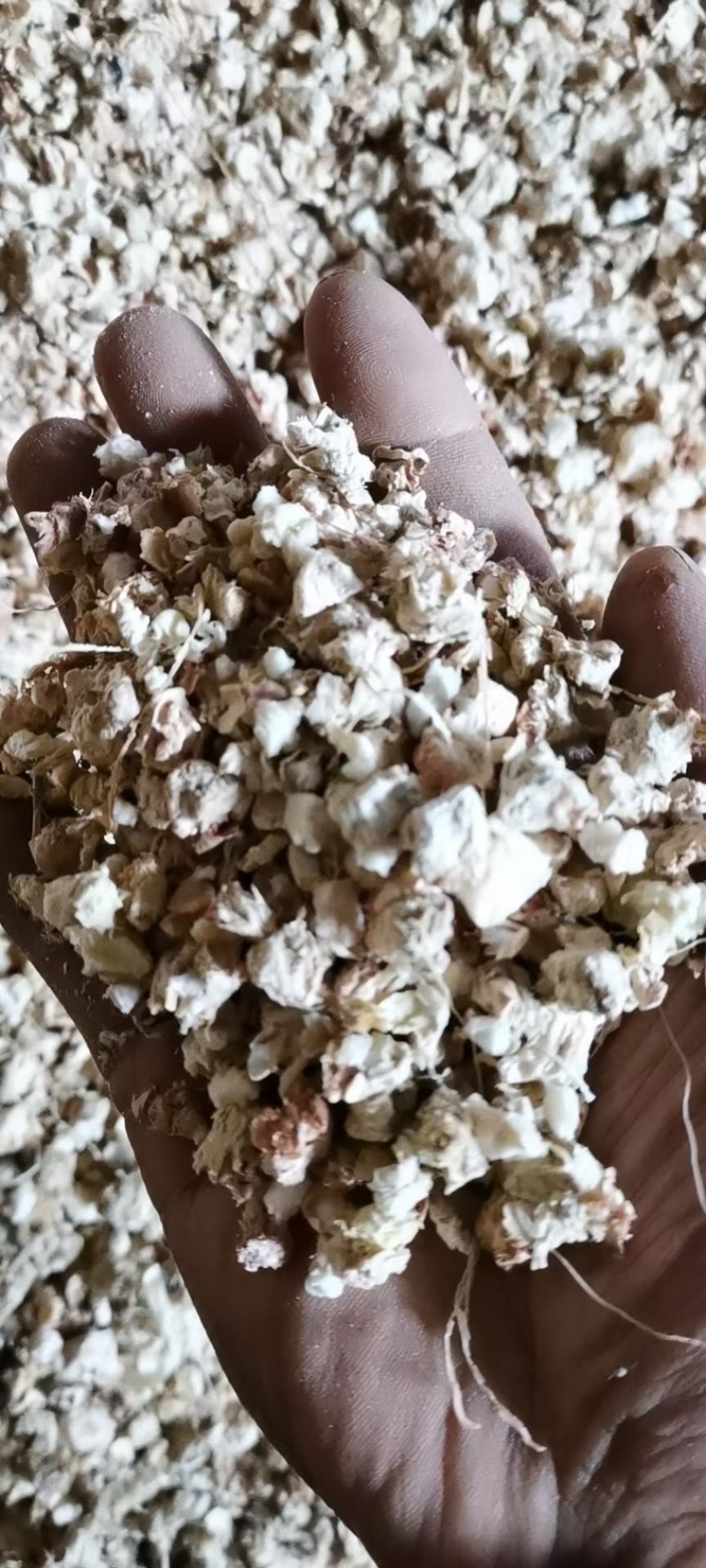 玉米芯大量出售质量保证价格美丽