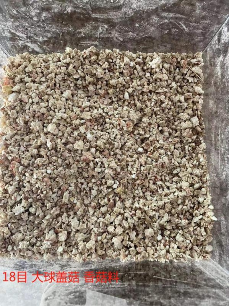 玉米芯大量出售质量保证价格美丽