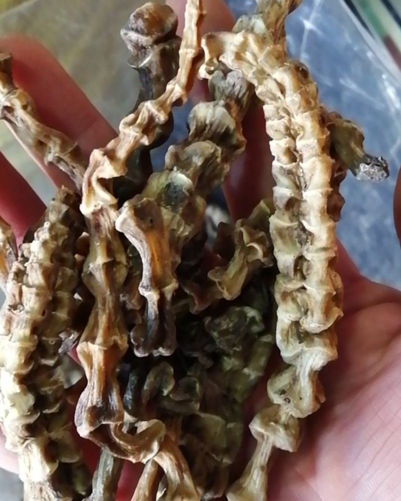 虫草参云南虫草参地参农副产品不满意可退换货