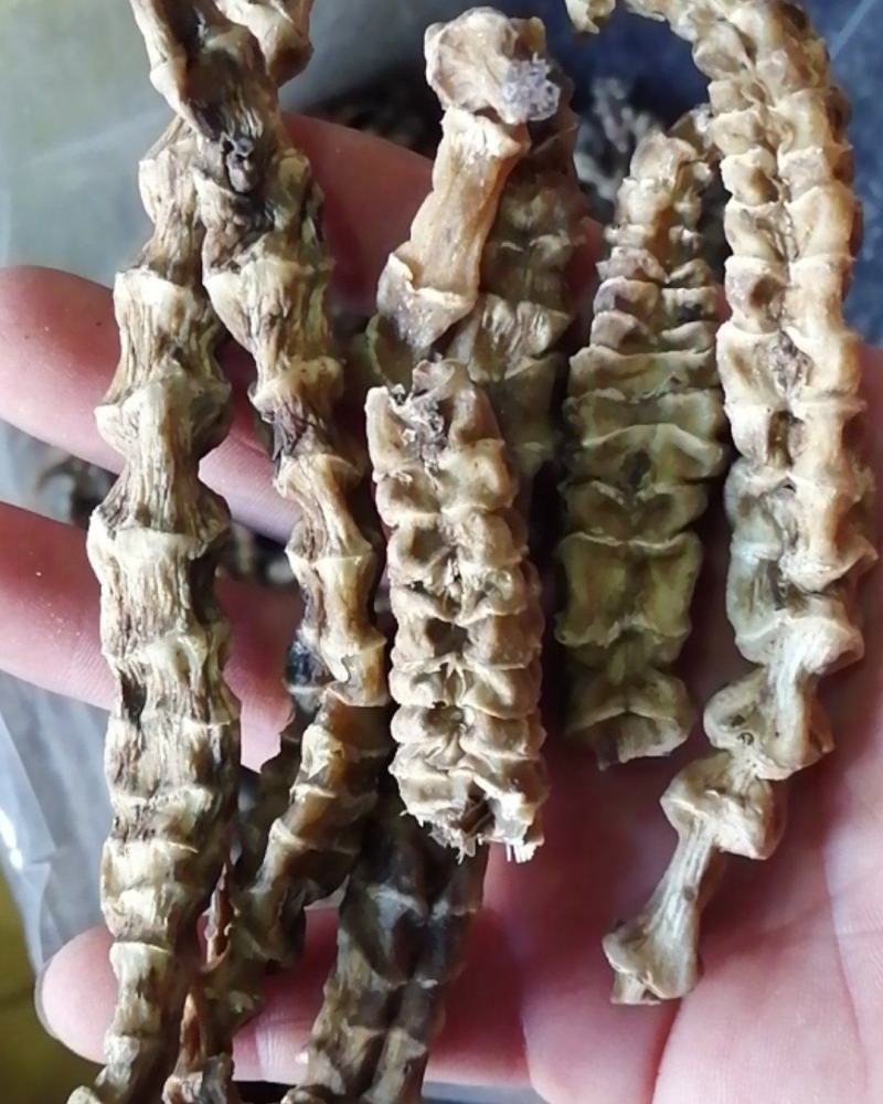 虫草参云南虫草参地参农副产品不满意可退换货