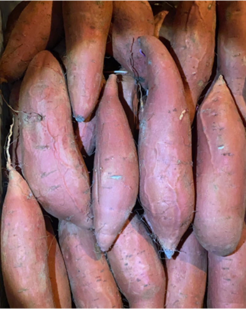 河北烟薯25蜜薯烤红薯全国发货批发商电商