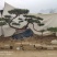 迎客松，造型松小精品，庭院景观松，别墅黑松，房地产黑松