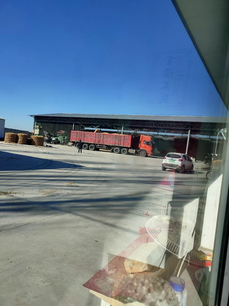 山西晋北大颗粒一等玉米，支持视频看货价格便宜欢迎咨询