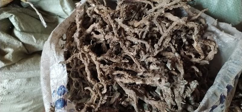 贵州铜仁野生药材石菖蒲干品多种规格无杂质产地直发一手货源