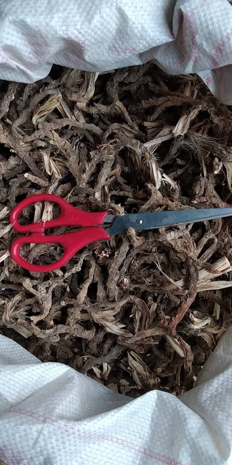 贵州铜仁野生药材石菖蒲干品多种规格无杂质产地直发一手货源