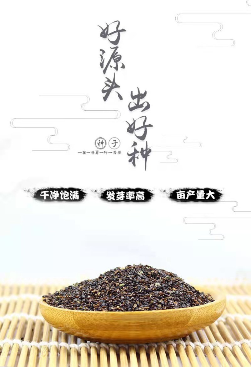 桔梗种子包袱花花种铃铛花景观花种盆栽多年生花种子阳台盆栽