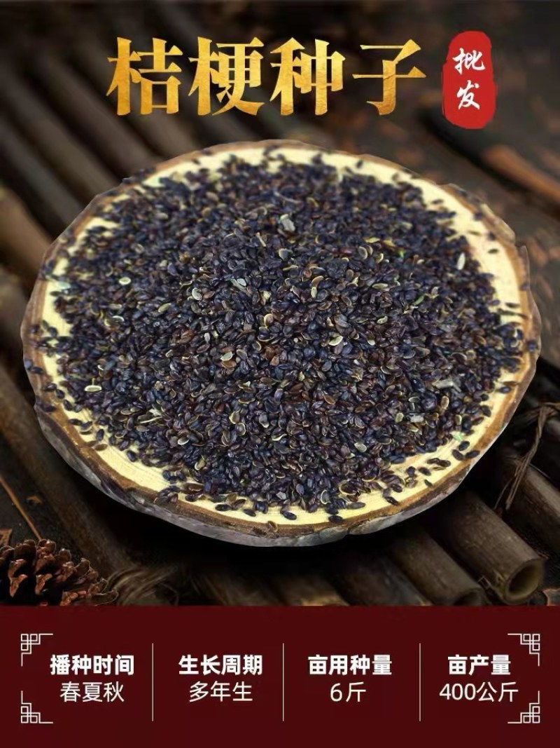 桔梗种子包袱花花种铃铛花景观花种盆栽多年生花种子阳台盆栽