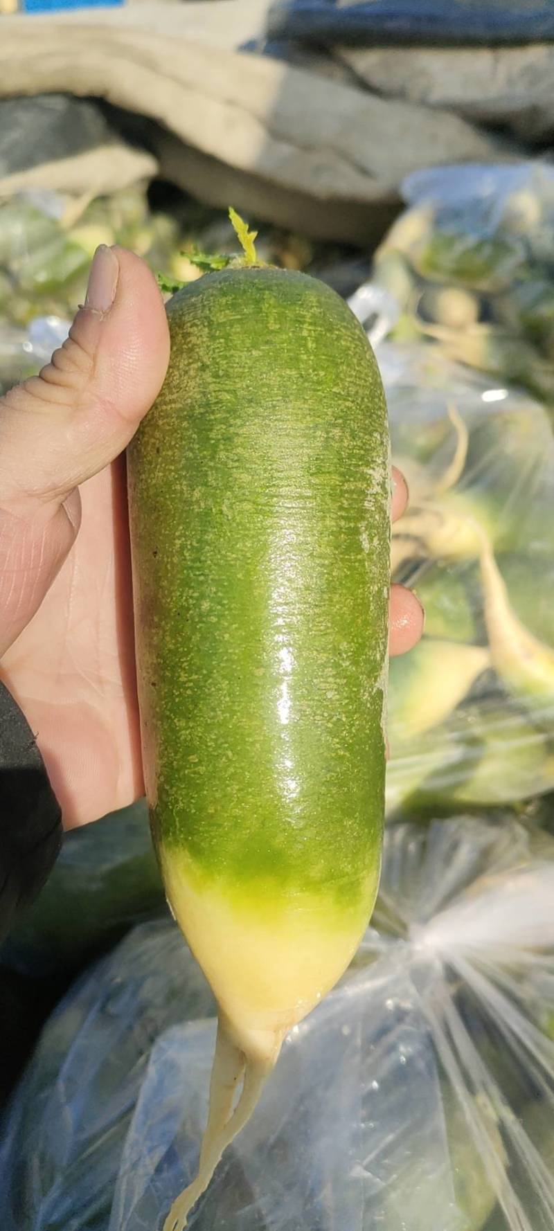 水果萝卜