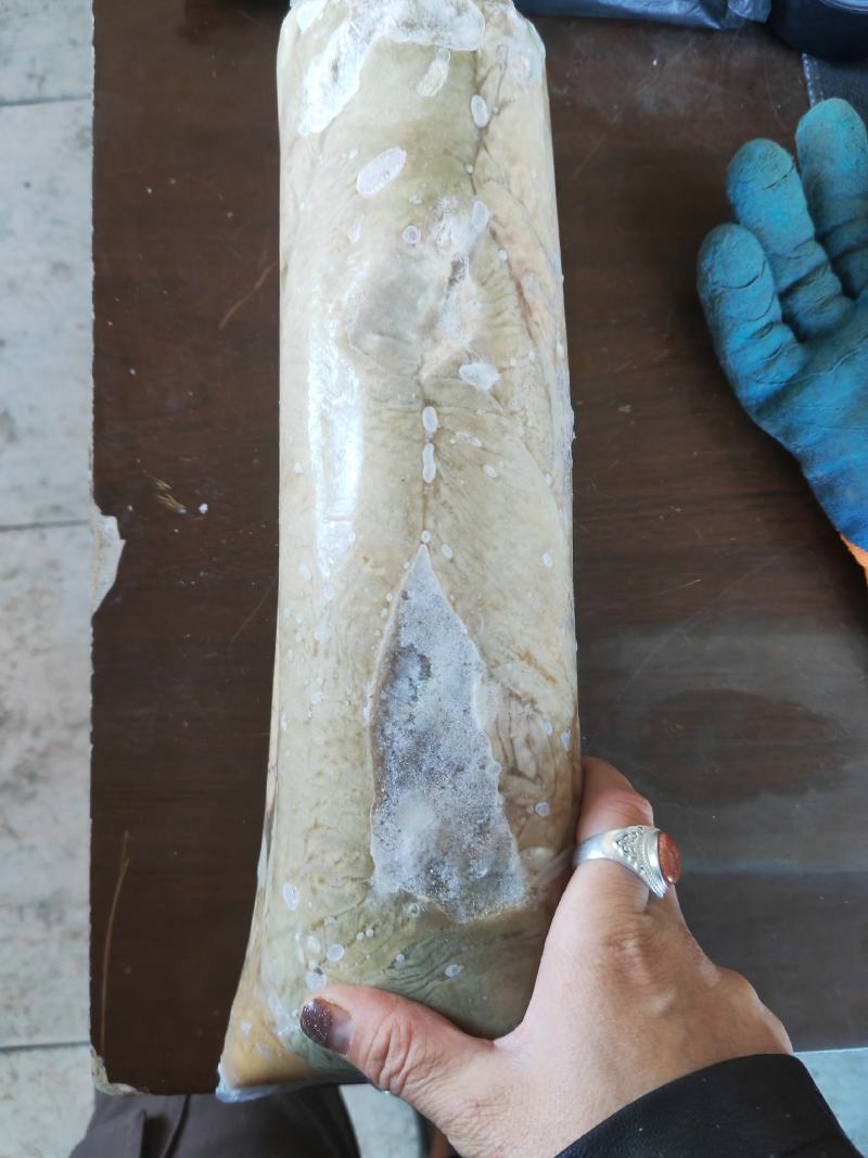 去油羊拐肠，苦头，现货10吨，支持一件样品发货
