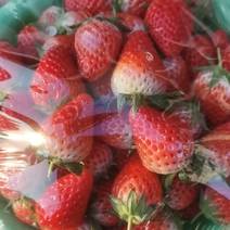 奶油草莓
