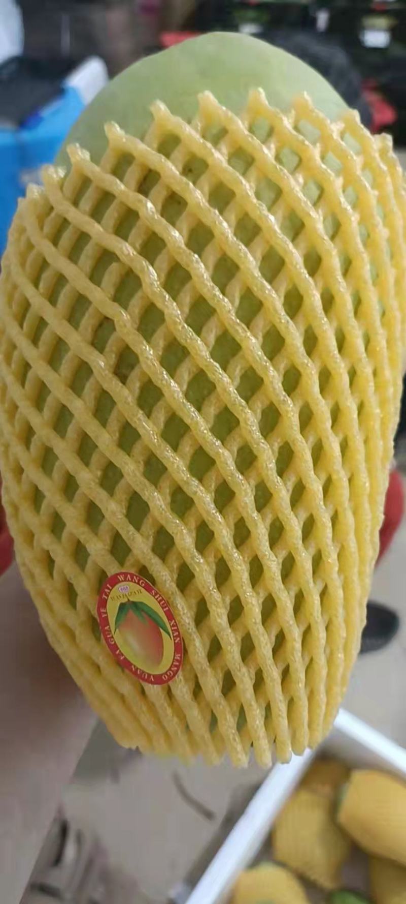 二级果